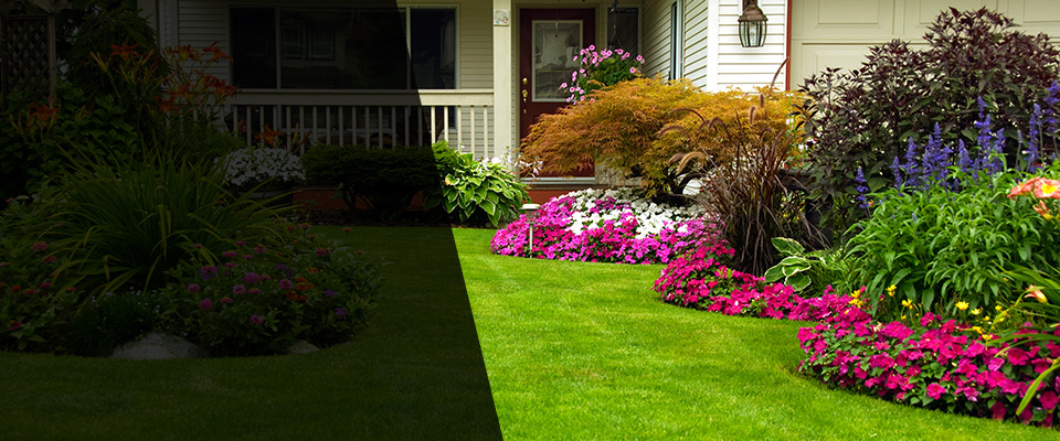 Weaverville Landscapers