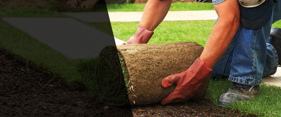 Weaverville Landscapers